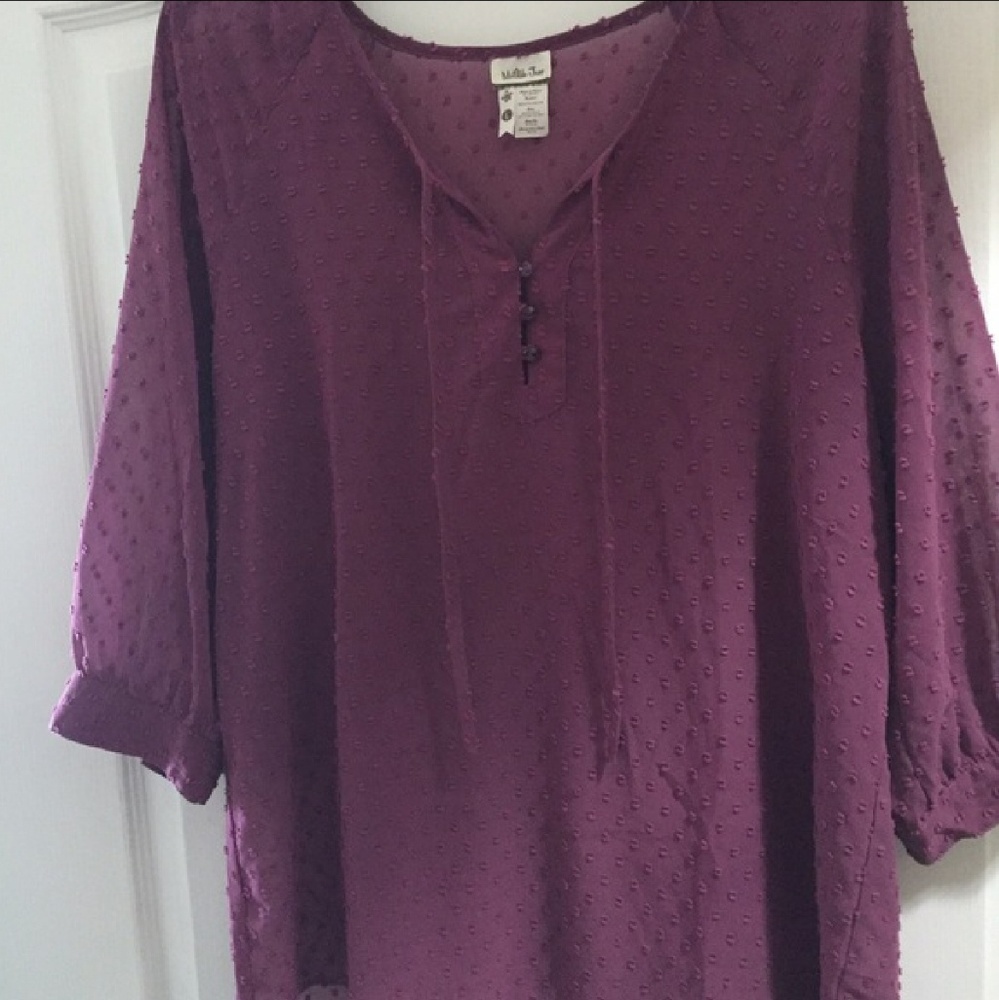 Matilda Jane swiss dot top